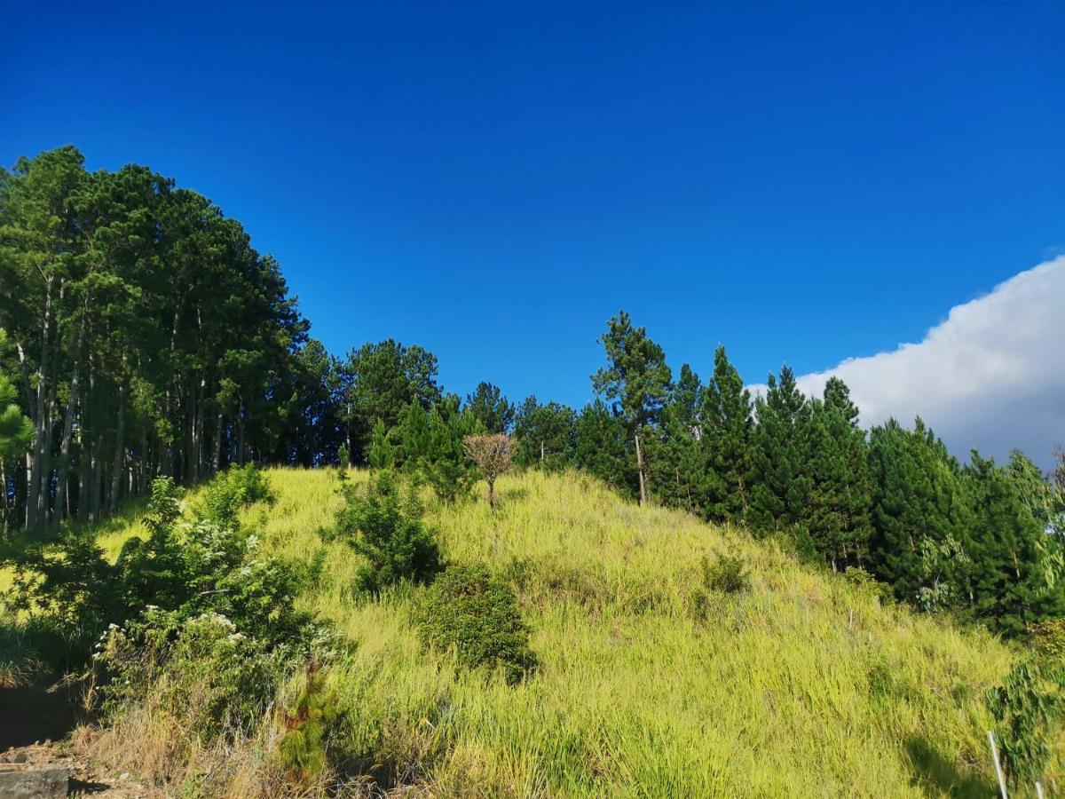 Mountain Peak Ella Bed & Breakfast ภายนอก รูปภาพ