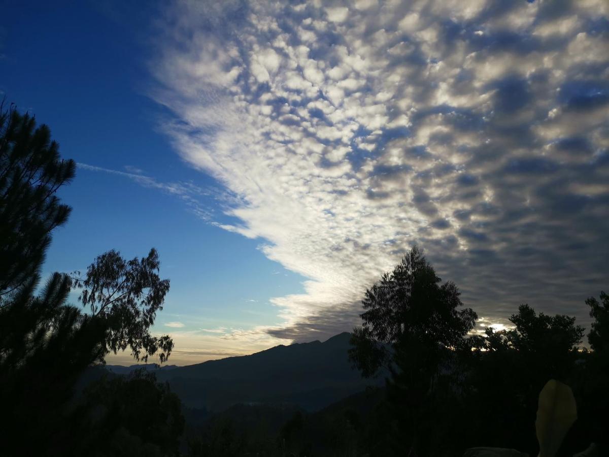 Mountain Peak Ella Bed & Breakfast ภายนอก รูปภาพ